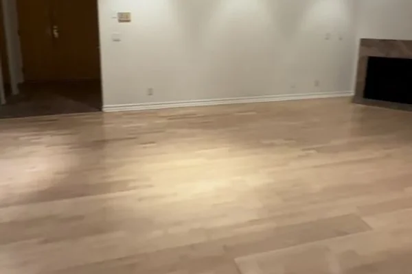 Move-In Cleaning